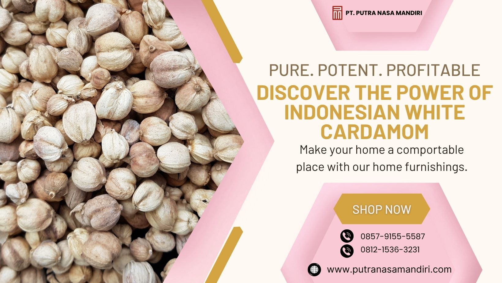 Pure. Potent. Profitable. Discover the Power of Indonesian White Cardamom