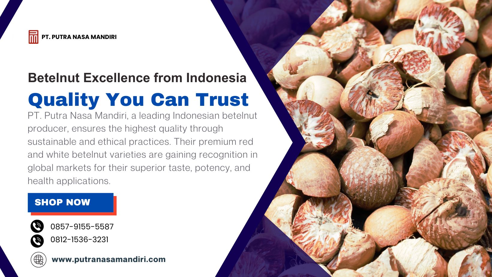 Betelnut Excellence from Indonesia: Quality You Can Trust